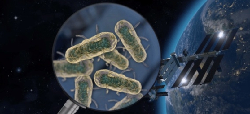 microorganisms _1 &n
