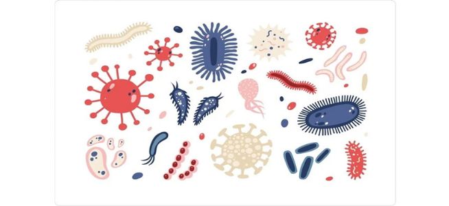 सूक्ष्मजीवांची सृष्टी