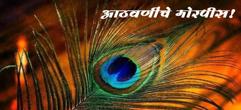आठवणींचे मोरपीस!