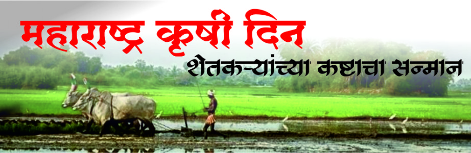 महाराष्ट्र कृषी दिन : शेतकऱ्यांच्या कष्टाचा सन्मान